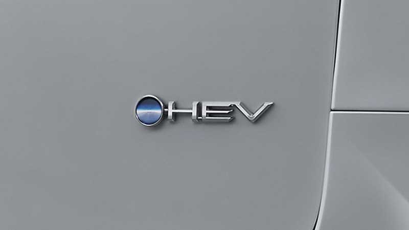 harga Toyota Alphard di Jogja